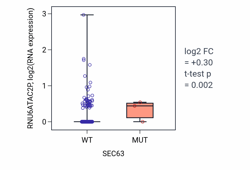 Box plot of RNU6ATAC2P in SEC63-low vs SEC63-high samples in BRCA.