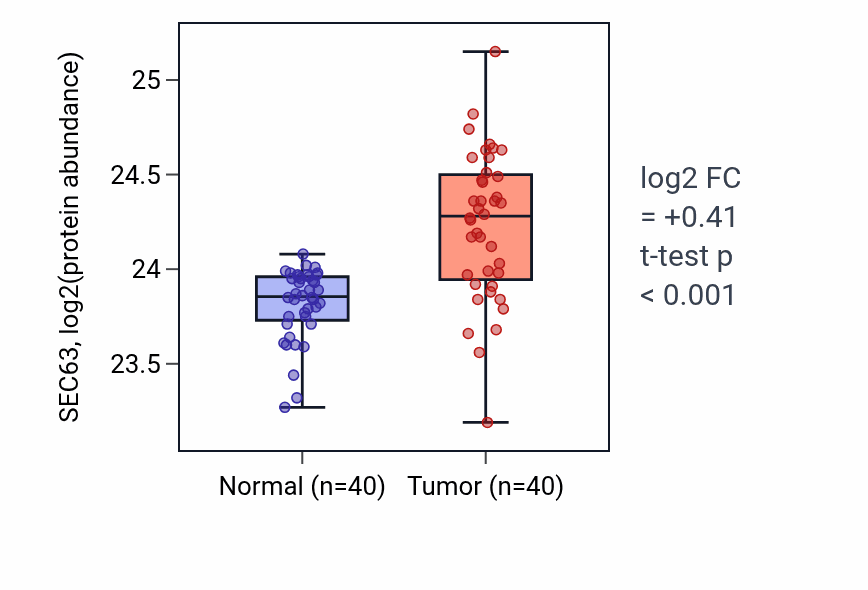 Tumor-vs-normal mass-spec protein box plot for SEC63 in CCRCC.