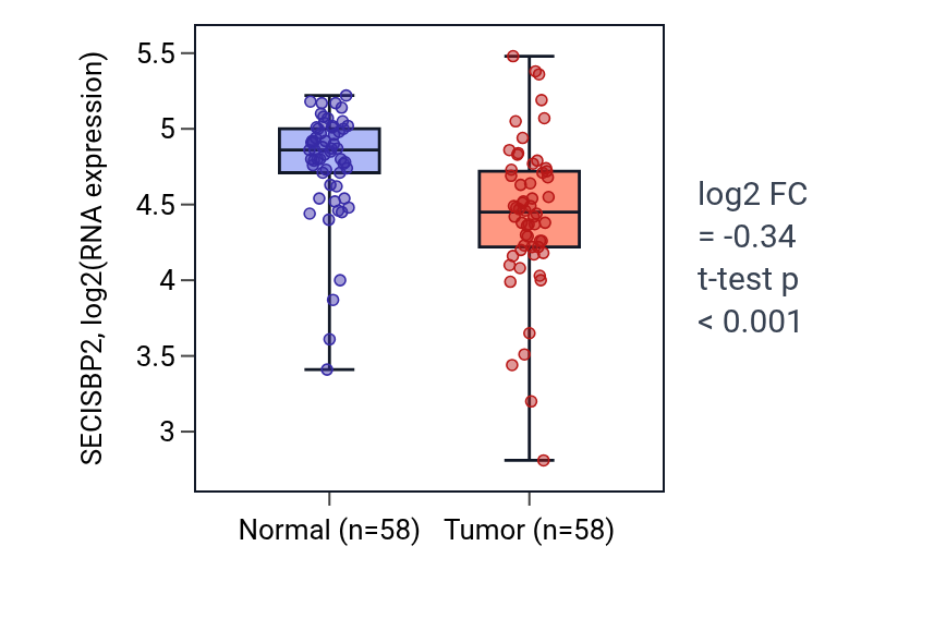 Tumor-vs-normal expression box plot for SECISBP2 in THCA.