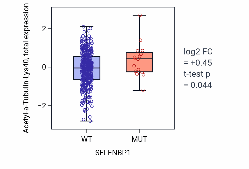 Box plot of Acetyl-a-Tubulin-Lys40 in SELENBP1-low vs SELENBP1-high samples in UCEC.