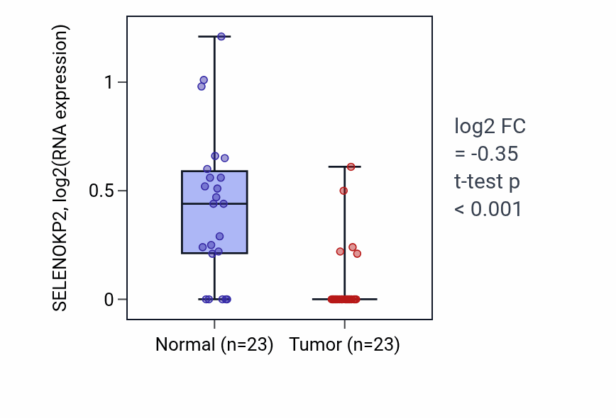 Tumor-vs-normal expression box plot for SELENOKP2 in THCA.