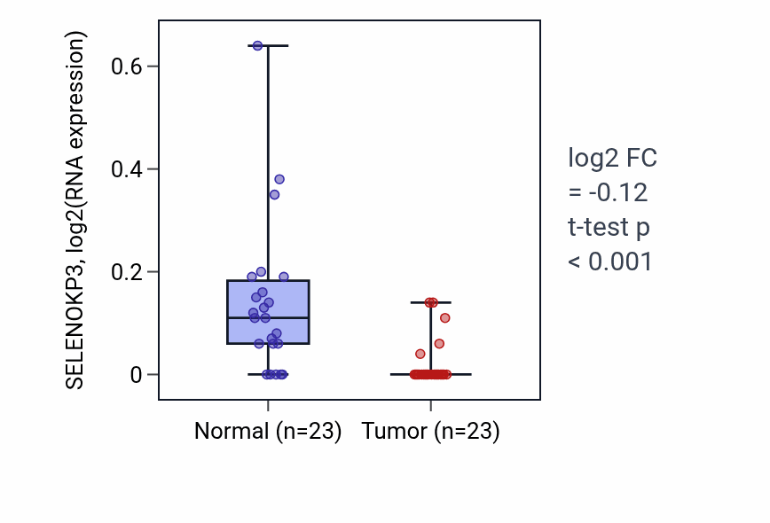 Tumor-vs-normal expression box plot for SELENOKP3 in THCA.