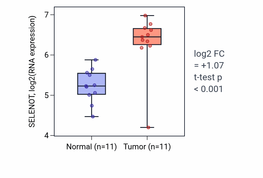 Tumor-vs-normal expression box plot for SELENOT in HNSC.