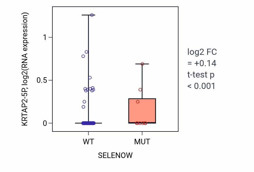 Box plot of KRTAP2-5P in SELENOW-low vs SELENOW-high samples in UCEC.