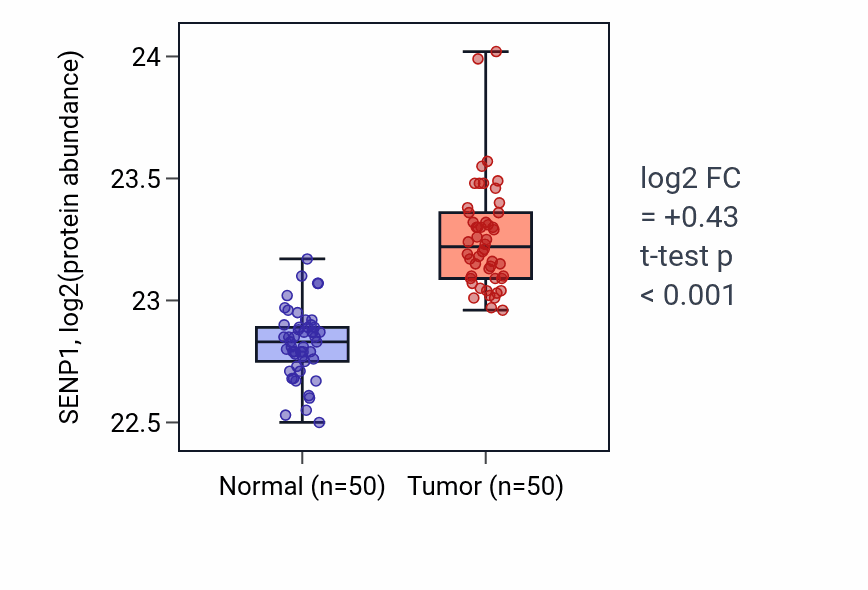 Tumor-vs-normal mass-spec protein box plot for SENP1 in LSCC.