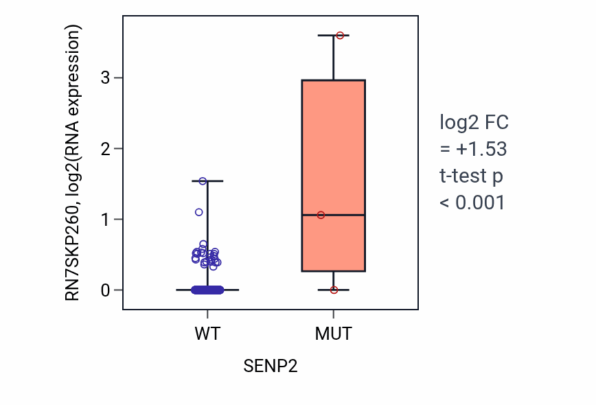 Box plot of RN7SKP260 in SENP2-low vs SENP2-high samples in HNSC.