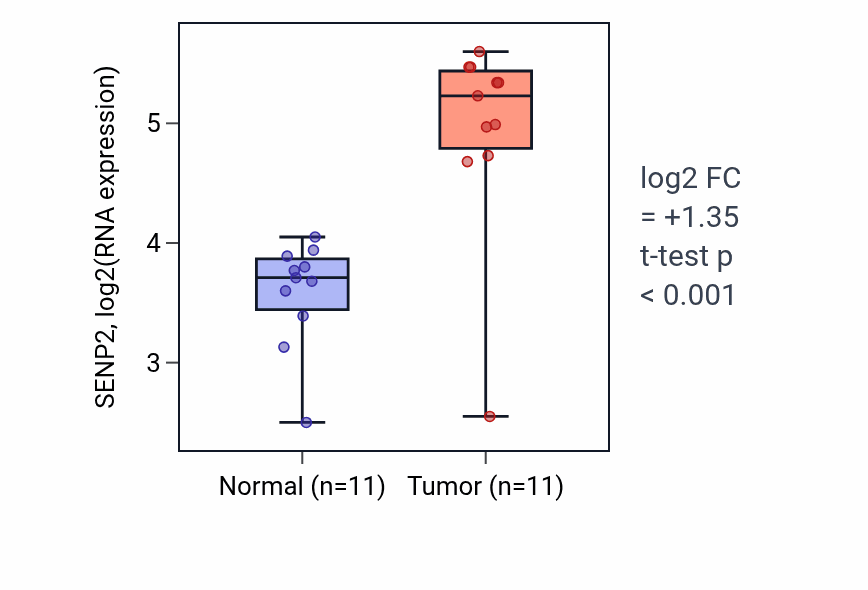 Tumor-vs-normal expression box plot for SENP2 RNA in HNSC.
