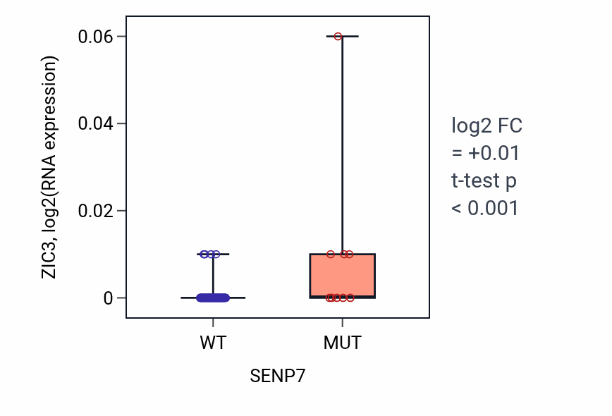 Box plot of ZIC3 in SENP7-low vs SENP7-high samples in BLOOD_Leukemia.