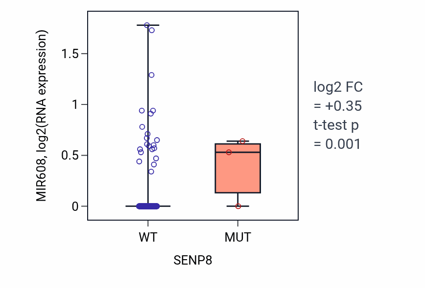 Box plot of MIR608 in SENP8-low vs SENP8-high samples in BLCA.