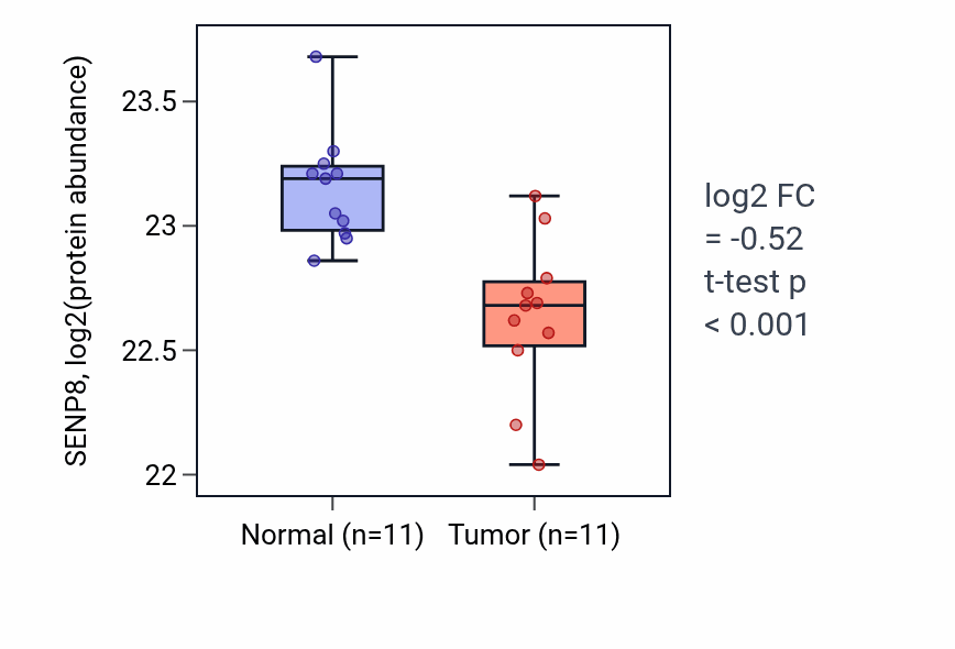 Tumor-vs-normal mass-spec protein box plot for SENP8 in CCRCC.