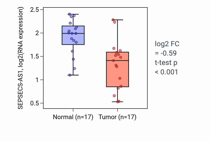 Tumor-vs-normal expression box plot for SEPSECS-AS1 RNA in THCA.