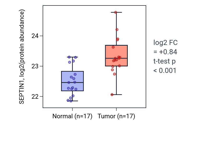 Tumor-vs-normal mass-spec protein box plot for SEPTIN1 in CCRCC.