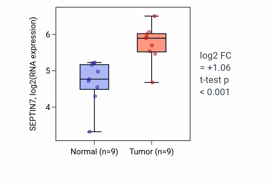 Tumor-vs-normal expression box plot for SEPTIN7 RNA in HNSC.