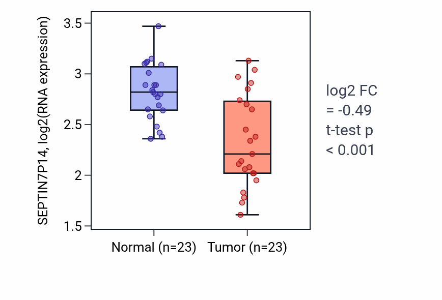 Tumor-vs-normal expression box plot for SEPTIN7P14 in THCA.
