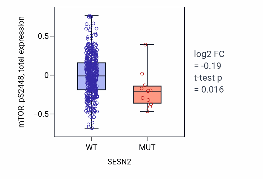 Box plot of mTOR_pS2448 in SESN2-low vs SESN2-high samples in UCEC.