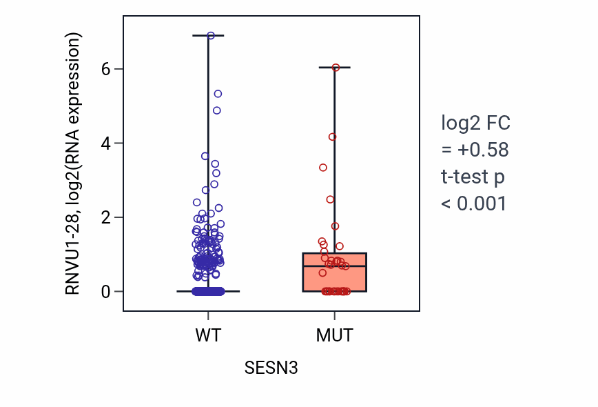 Box plot of RNVU1-28 in SESN3-low vs SESN3-high samples in UCEC.