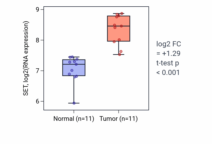 Tumor-vs-normal expression box plot for SET RNA in HNSC.