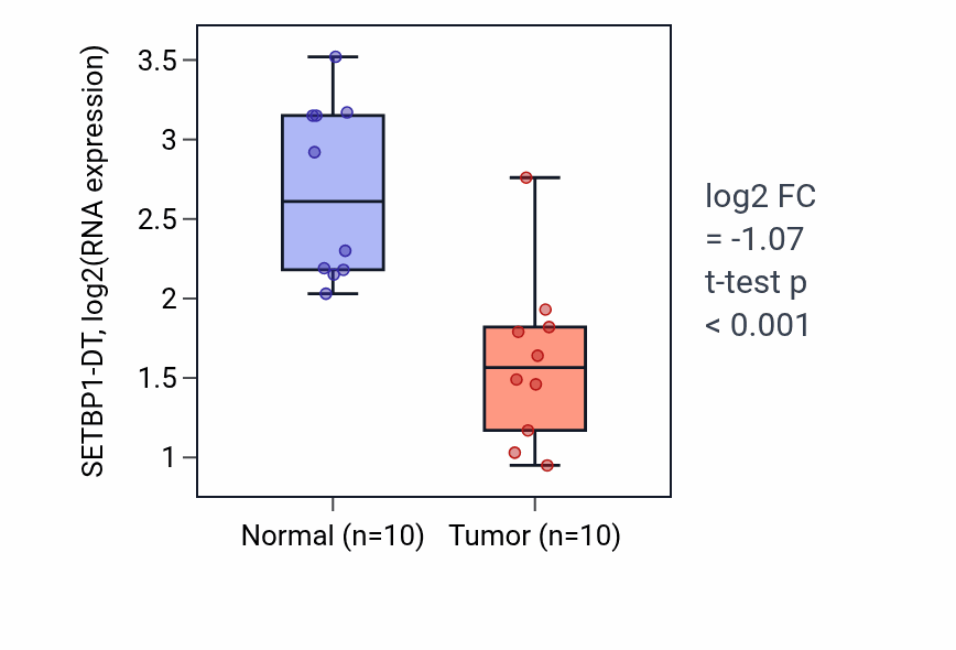 Tumor-vs-normal expression box plot for SETBP1-DT in KIRP.