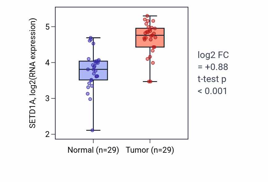 Tumor-vs-normal expression box plot for SETD1A RNA in HNSC.