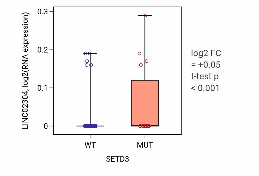 Box plot of LINC02304 in SETD3-low vs SETD3-high samples in SKCM.