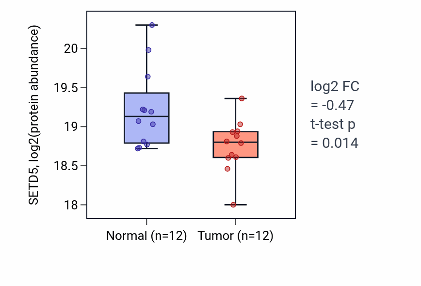 Tumor-vs-normal mass-spec protein box plot for SETD5 in LSCC.