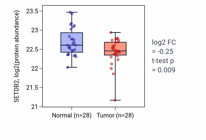Tumor-vs-normal mass-spec protein box plot for SETDB2 in LSCC.