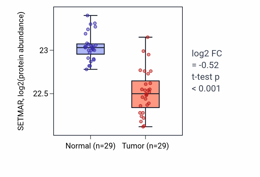 Tumor-vs-normal mass-spec protein box plot for SETMAR in CCRCC.