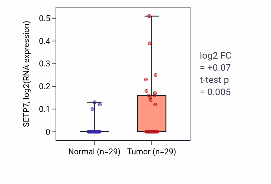 Tumor-vs-normal expression box plot for SETP7 in HNSC.
