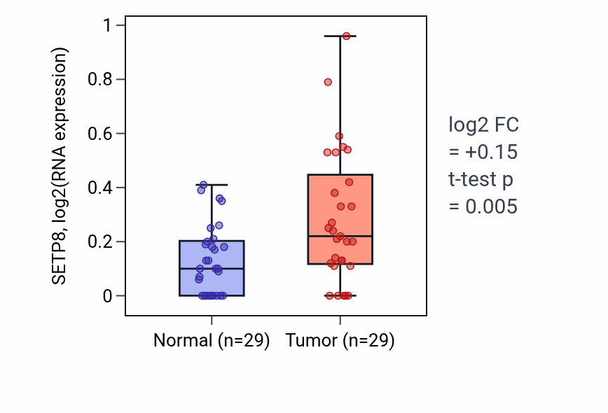 Tumor-vs-normal expression box plot for SETP8 in HNSC.
