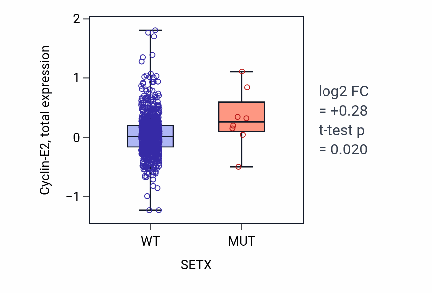 Box plot of Cyclin-E2 in SETX-low vs SETX-high samples in BRCA.