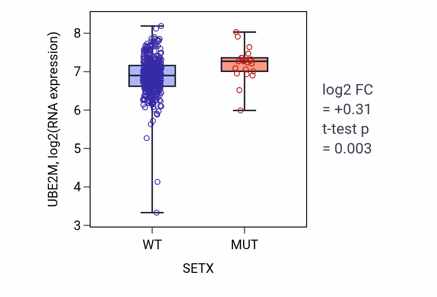 Box plot of UBE2M in SETX-low vs SETX-high samples in COAD.