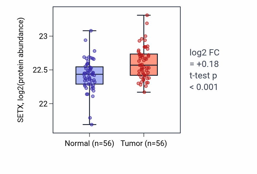 Tumor-vs-normal mass-spec protein box plot for SETX in HNSC.