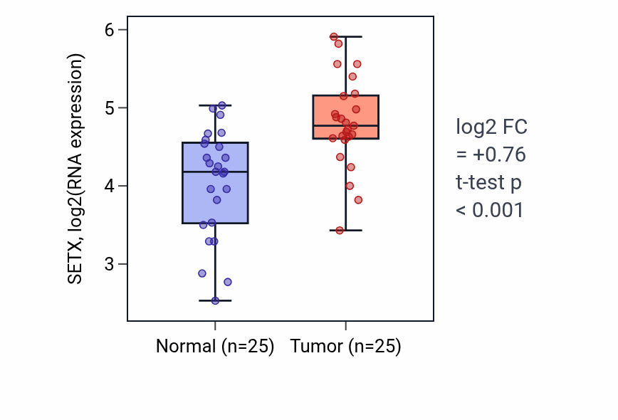 Tumor-vs-normal expression box plot for SETX RNA in HNSC.