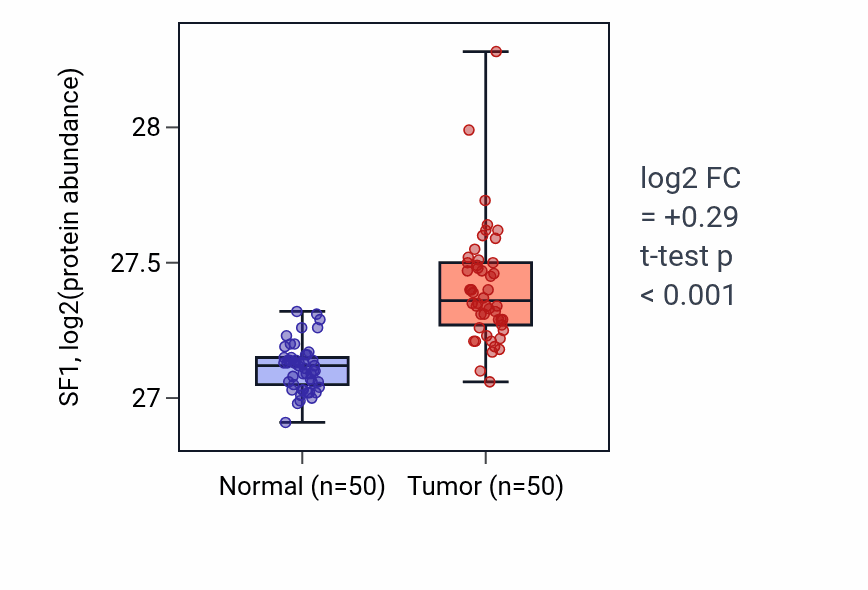 Tumor-vs-normal mass-spec protein box plot for SF1 in LSCC.
