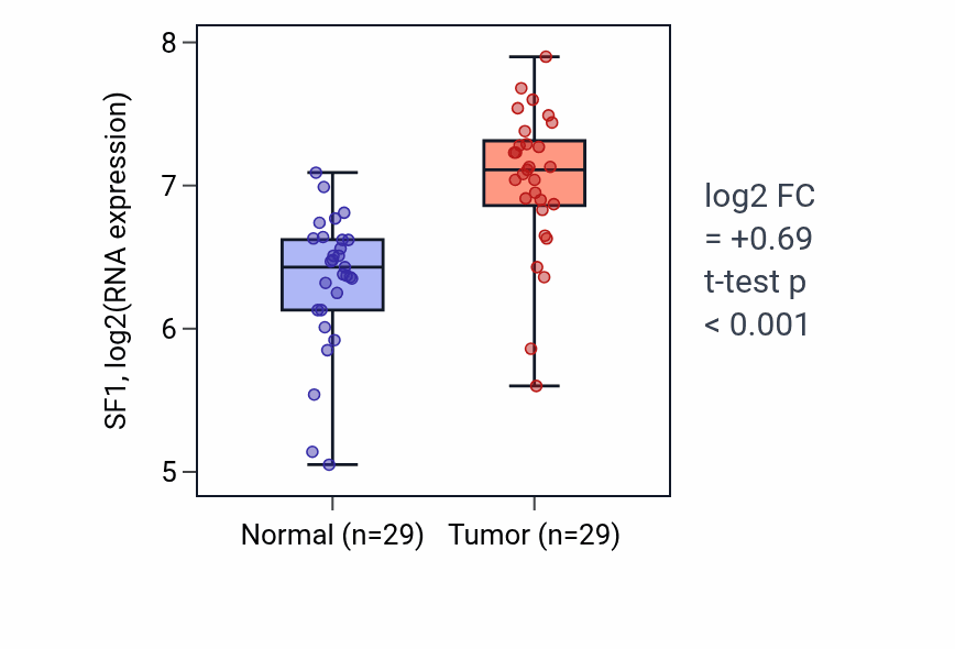 Tumor-vs-normal expression box plot for SF1 RNA in HNSC.