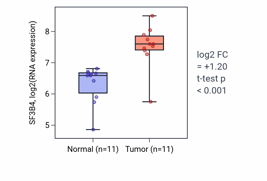 Tumor-vs-normal expression box plot for SF3B4 RNA in HNSC.
