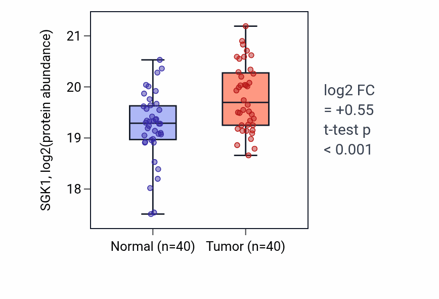 Tumor-vs-normal mass-spec protein box plot for SGK1 in LSCC.