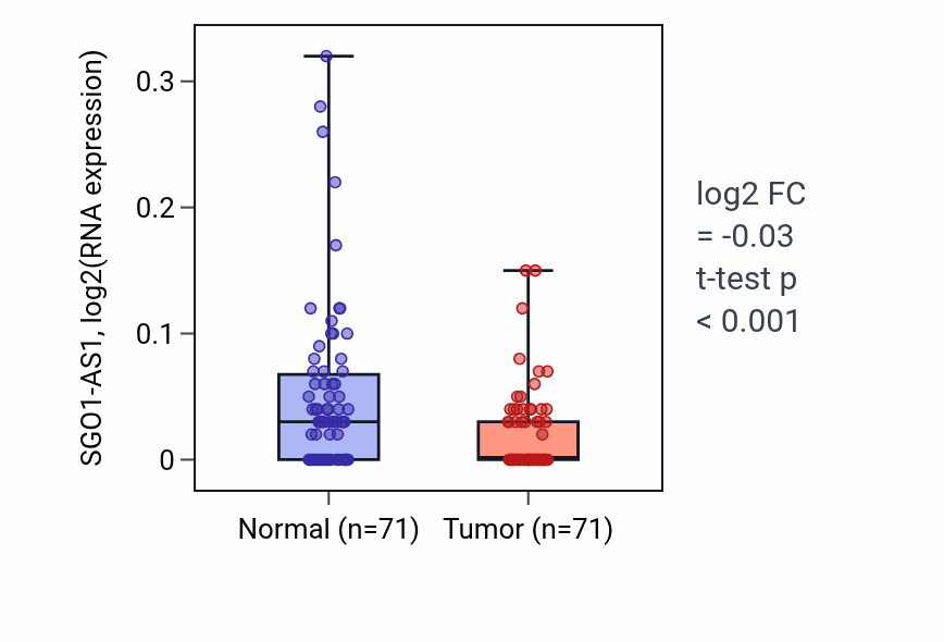Tumor-vs-normal expression box plot for SGO1-AS1 in KIRC.