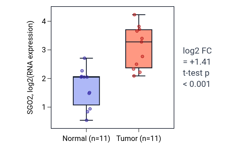 Tumor-vs-normal expression box plot for SGO2 in HNSC.