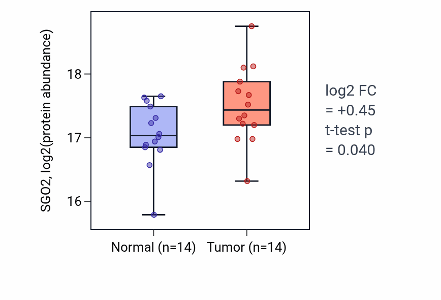 Tumor-vs-normal mass-spec protein box plot for SGO2 in HNSC.