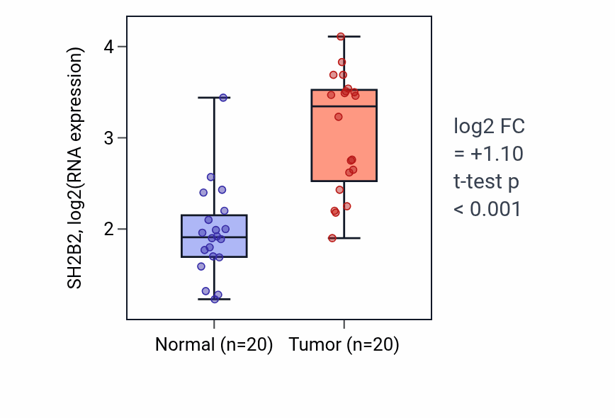 Tumor-vs-normal expression box plot for SH2B2 RNA in KIRC.