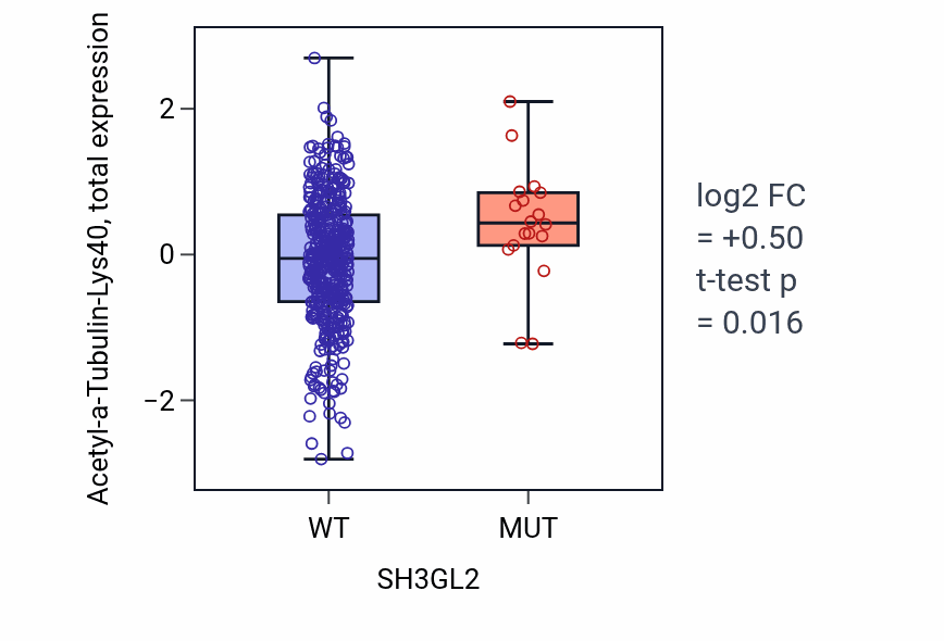 Box plot of Acetyl-a-Tubulin-Lys40 in SH3GL2-low vs SH3GL2-high samples in UCEC.