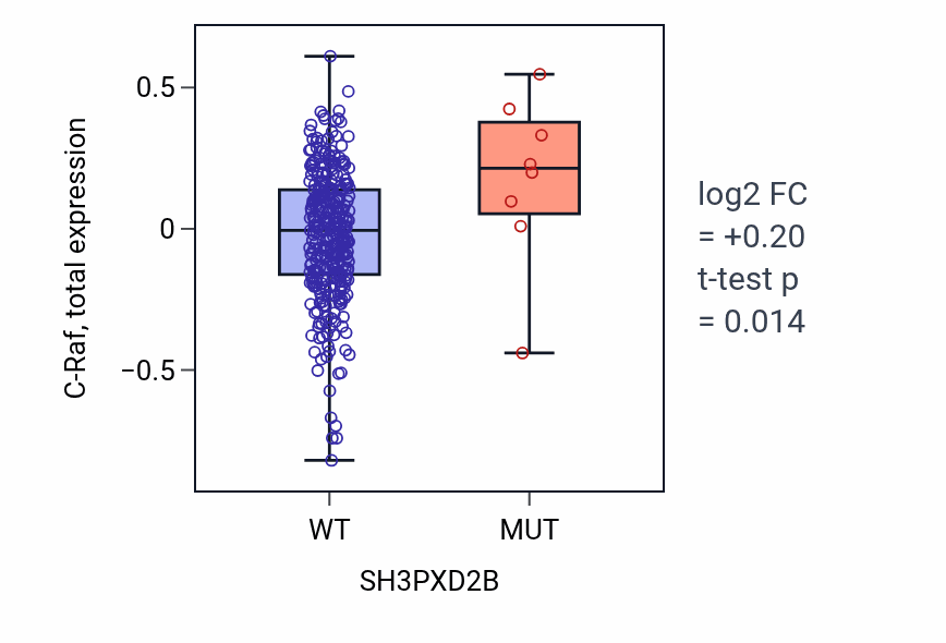 Box plot of C-Raf in SH3PXD2B-low vs SH3PXD2B-high samples in COAD.