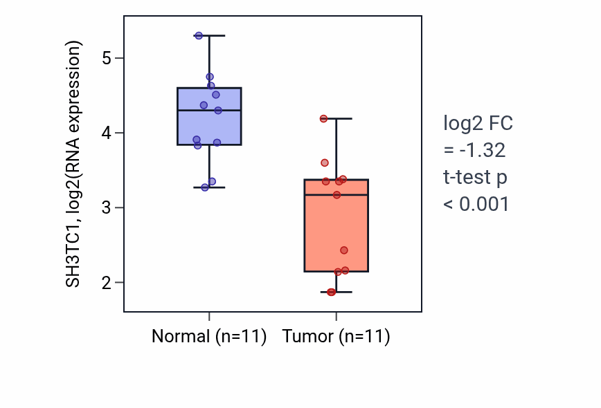 Tumor-vs-normal expression box plot for SH3TC1 RNA in KIRP.