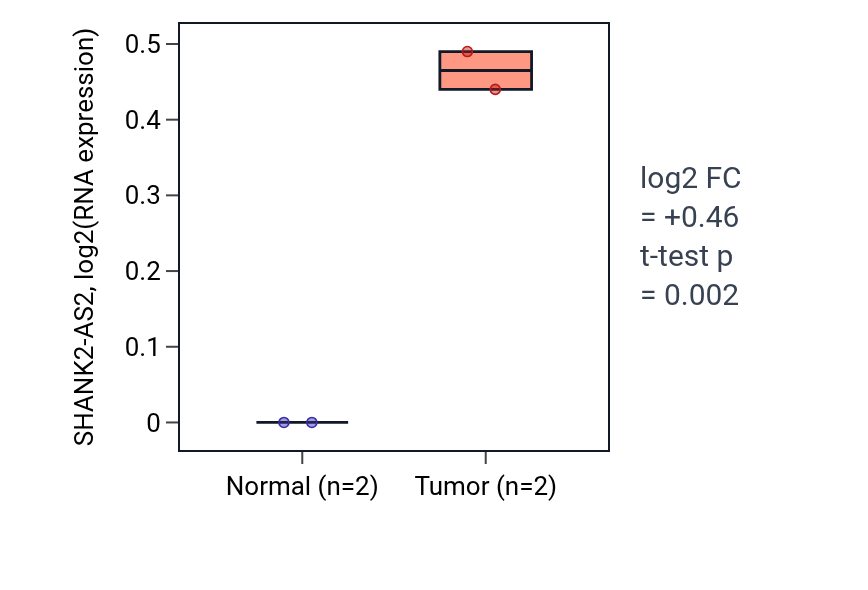 Tumor-vs-normal expression box plot for SHANK2-AS2 in COAD.
