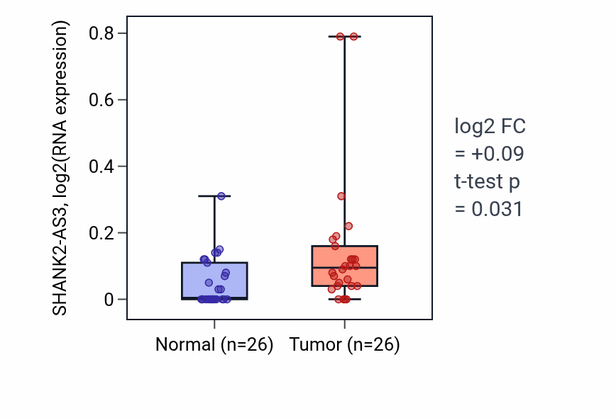 Tumor-vs-normal expression box plot for SHANK2-AS3 RNA in STAD.
