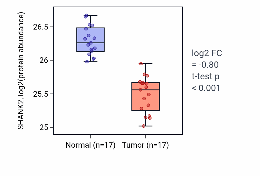 Tumor-vs-normal mass-spec protein box plot for SHANK2 in LSCC.