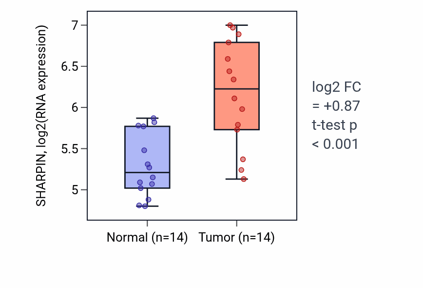 Tumor-vs-normal expression box plot for SHARPIN RNA in HNSC.