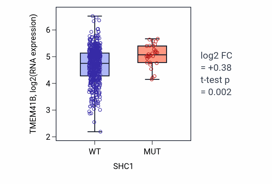 Box plot of TMEM41B in SHC1-low vs SHC1-high samples in UCEC.