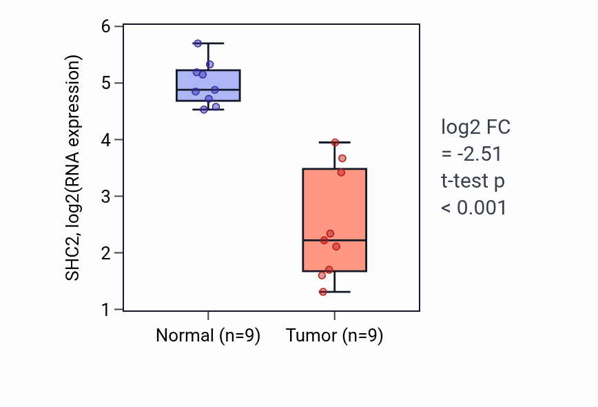 Tumor-vs-normal expression box plot for SHC2 RNA in UCEC.